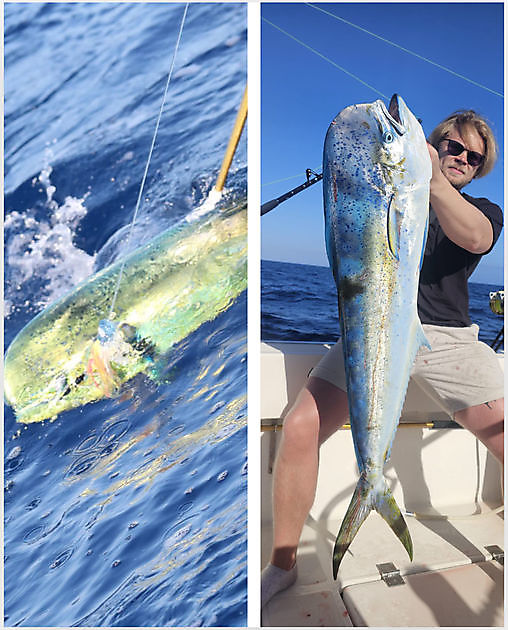 01/07 - DORADO FISH!!! Cavalier & Blue Marlin Sport Fishing Gran Canaria