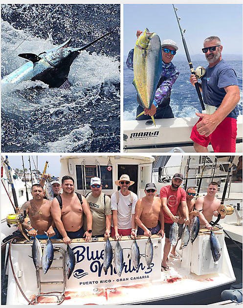 14/07 - MARLIN AZUL!!!! - Cavalier & Blue Marlin Sport Fishing Gran Canaria