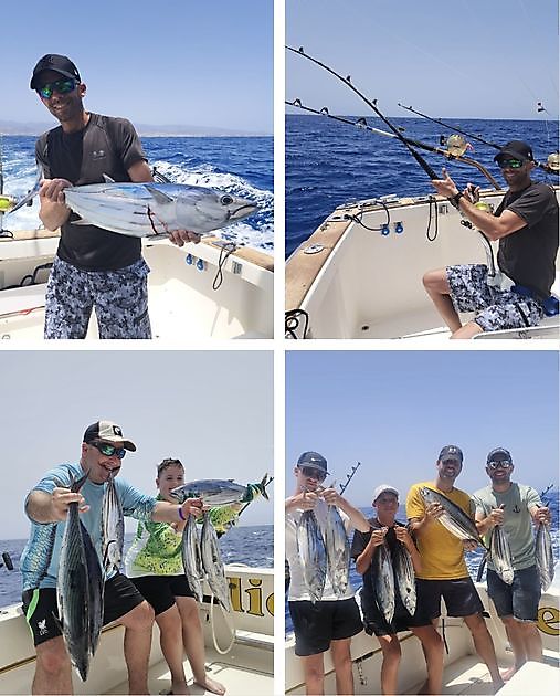 07/08 - Bonito - Thunfisch!! Cavalier & Blue Marlin Sport Fishing Gran Canaria