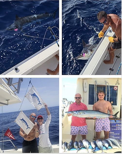 08/08 - 2 MARLINES AZULES!!!! Cavalier & Blue Marlin Sport Fishing Gran Canaria