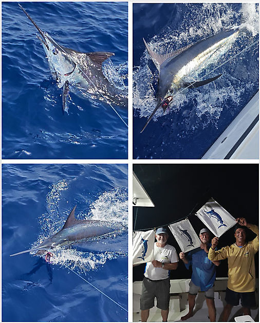 26/08 - ¡¡DÍA INCREÍBLE! - Cavalier & Blue Marlin Sport Fishing Gran Canaria