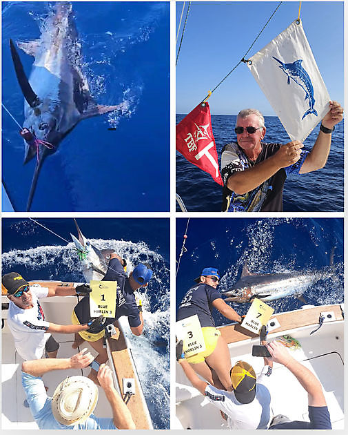 30/08 - ¡¡PRIMER DÍA TORNEO PASITO BLANCO!! - Cavalier & Blue Marlin Sport Fishing Gran Canaria