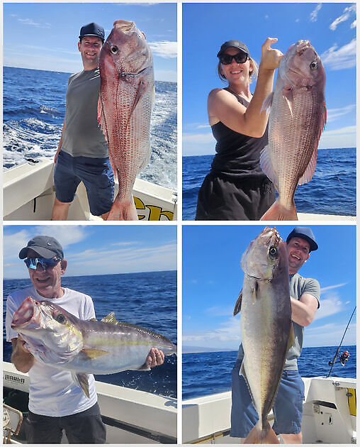 15/10 - SÉRIALES ET VIVANEAU ROUGES !! Cavalier & Blue Marlin Sport Fishing Gran Canaria