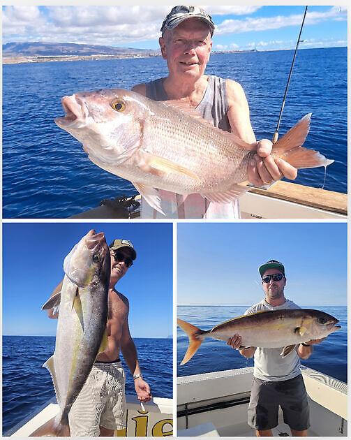 02/11 - ACTION!! - Cavalier & Blue Marlin Sport Fishing Gran Canaria