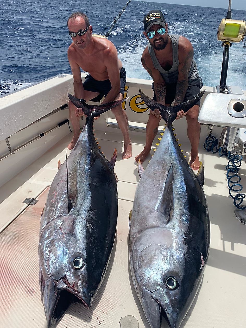 2/2 Bigeye tuna - Cavalier & Blue Marlin Sport Fishing Gran Canaria