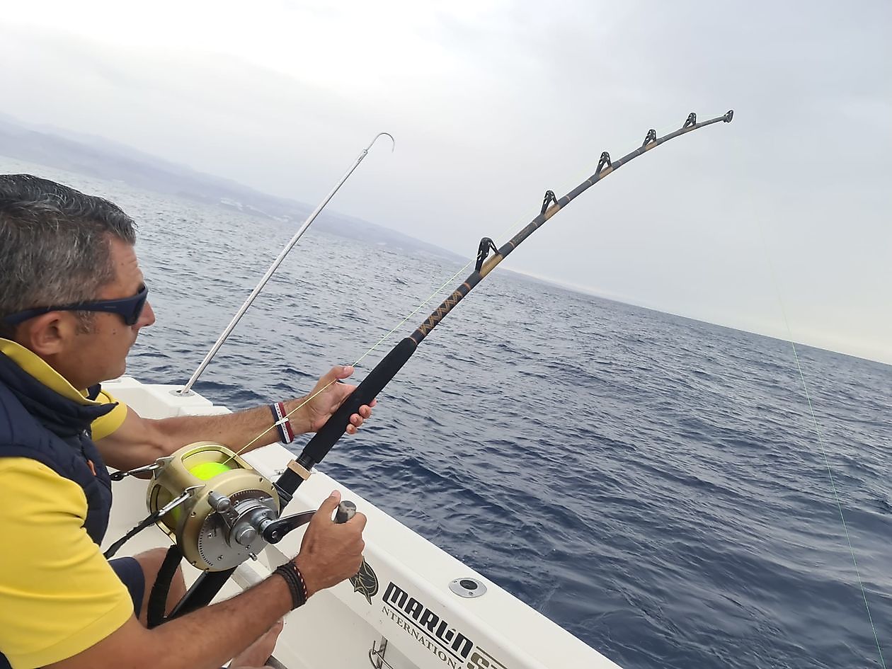 1-2 Big Eye Tuna - Cavalier & Blue Marlin Sport Fishing Gran Canaria