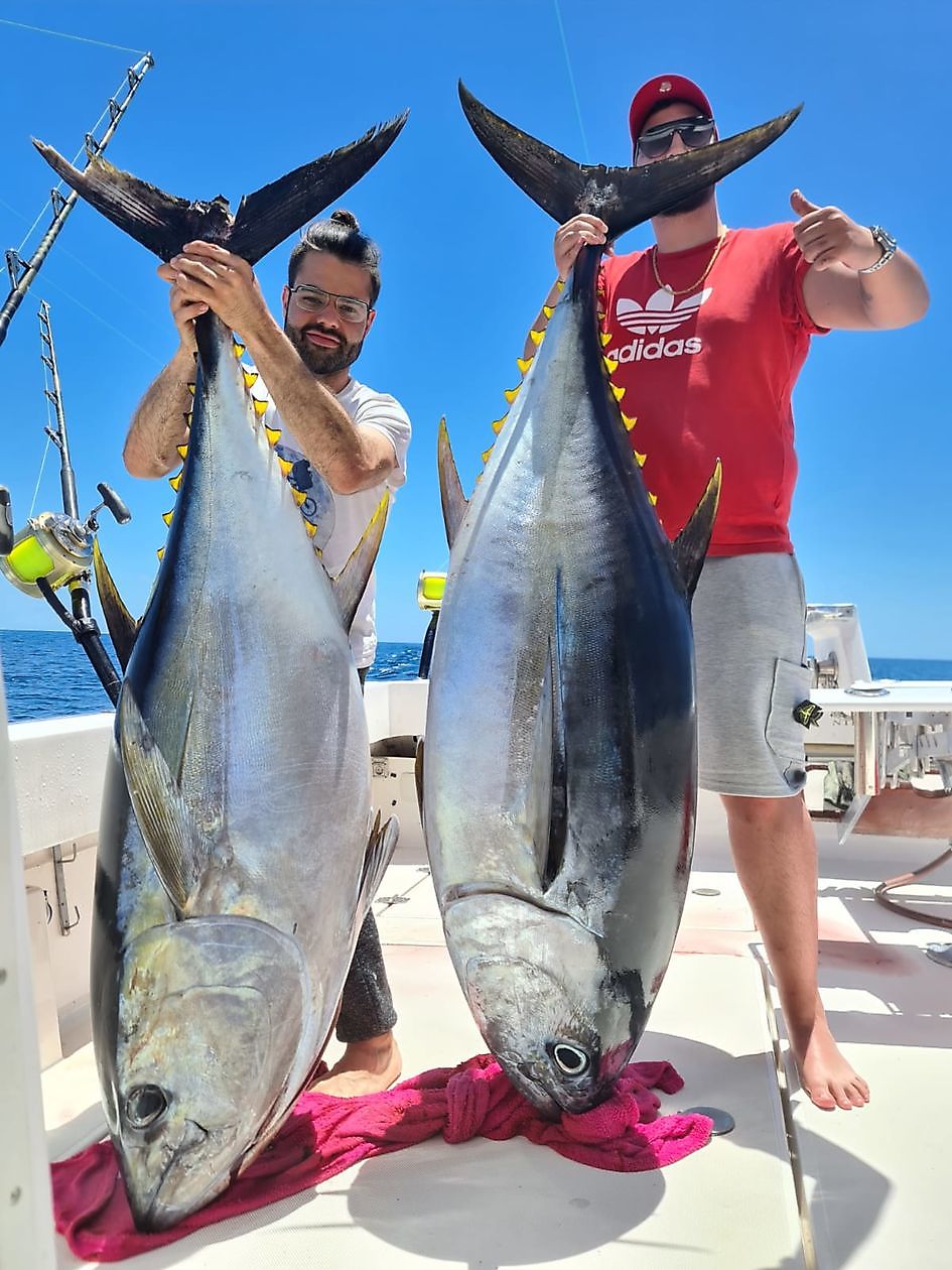2/2 Bigeye tuna - Cavalier & Blue Marlin Sport Fishing Gran Canaria
