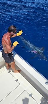 10/05 Cavalier & Blue Marlin Sport Fishing Gran Canaria