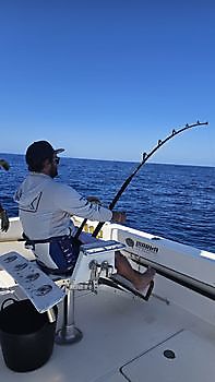 12/05 - BLAUWE MARLIJN 150kg!!! Cavalier & Blue Marlin Sport Fishing Gran Canaria
