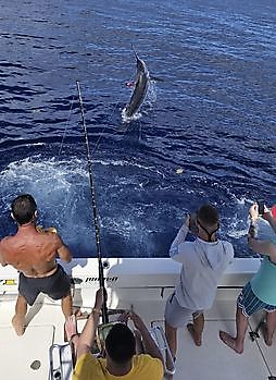 18/05 - DUBBEL STRIKE!! 2 BLAUWE MARLIJNEN! Cavalier & Blue Marlin Sport Fishing Gran Canaria