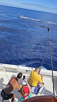 18/05 Cavalier & Blue Marlin Sport Fishing Gran Canaria