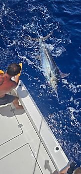 22/06 Cavalier & Blue Marlin Sport Fishing Gran Canaria