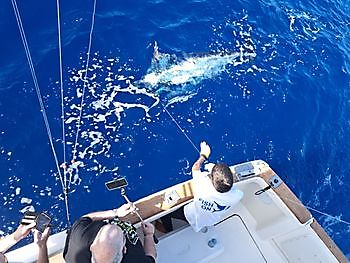 23/06 Cavalier & Blue Marlin Sport Fishing Gran Canaria