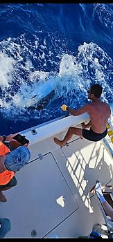 24/06 Cavalier & Blue Marlin Sport Fishing Gran Canaria