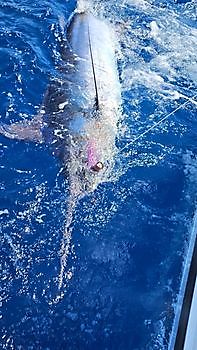 04/07 Cavalier & Blue Marlin Sport Fishing Gran Canaria