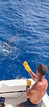 15/07 Cavalier & Blue Marlin Sport Fishing Gran Canaria