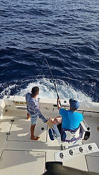 18/07 BLAUER MARLIN Cavalier & Blue Marlin Sport Fishing Gran Canaria