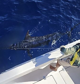 30/07 Cavalier & Blue Marlin Sport Fishing Gran Canaria