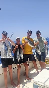 Skipjack tuna Cavalier & Blue Marlin Sport Fishing Gran Canaria