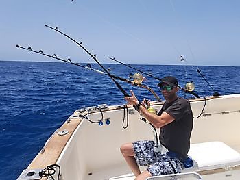 Skipjack tuna Cavalier & Blue Marlin Sport Fishing Gran Canaria