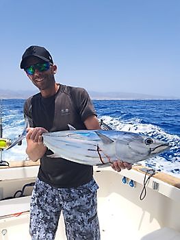 Skipjack tuna Cavalier & Blue Marlin Sport Fishing Gran Canaria