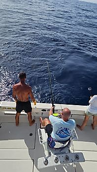 08/08 Cavalier & Blue Marlin Sport Fishing Gran Canaria