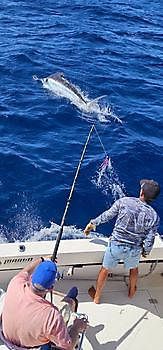 23/08 BLUE MARLIN Cavalier & Blue Marlin Sport Fishing Gran Canaria