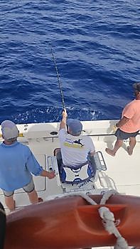 26/08 BLUE MARLIN Cavalier & Blue Marlin Sport Fishing Gran Canaria