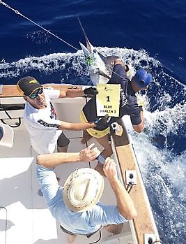 30/08 BLUE MARLIN Cavalier & Blue Marlin Sport Fishing Gran Canaria