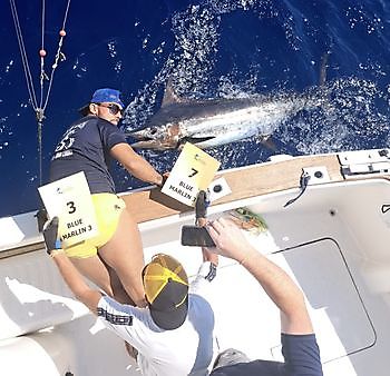 30/08 BLUE MARLIN Cavalier & Blue Marlin Sport Fishing Gran Canaria