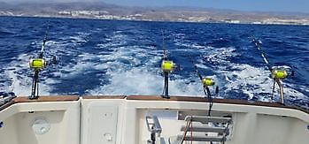 08/09 Cavalier & Blue Marlin Sport Fishing Gran Canaria