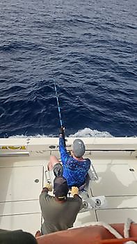 13/09 BLUE MARLIN Cavalier & Blue Marlin Sport Fishing Gran Canaria