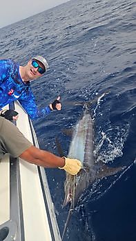 13/09 BLUE MARLIN Cavalier & Blue Marlin Sport Fishing Gran Canaria