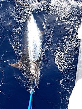 15/09 Cavalier & Blue Marlin Sport Fishing Gran Canaria