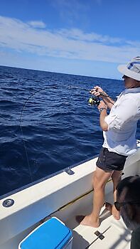 13/10 MEDREGAL Cavalier & Blue Marlin Sport Fishing Gran Canaria