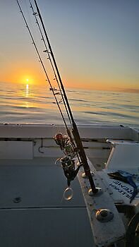 30/10 RED SNAPPERS Cavalier & Blue Marlin Sport Fishing Gran Canaria