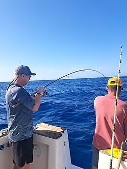 11/11 Cavalier & Blue Marlin Sport Fishing Gran Canaria