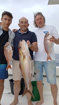 27/11 Cavalier & Blue Marlin Sport Fishing Gran Canaria