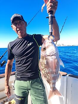 12/12 Cavalier & Blue Marlin Sport Fishing Gran Canaria