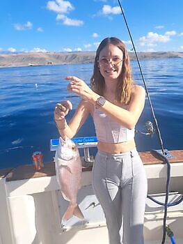 26/12 Cavalier & Blue Marlin Sport Fishing Gran Canaria