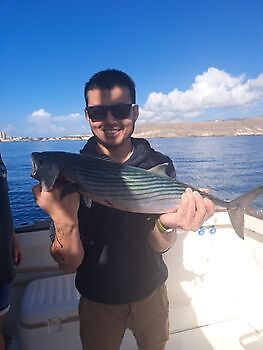 26/12 Cavalier & Blue Marlin Sport Fishing Gran Canaria