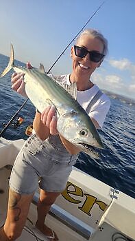 31/12 Cavalier & Blue Marlin Sport Fishing Gran Canaria