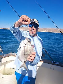 12/01 Cavalier & Blue Marlin Sport Fishing Gran Canaria